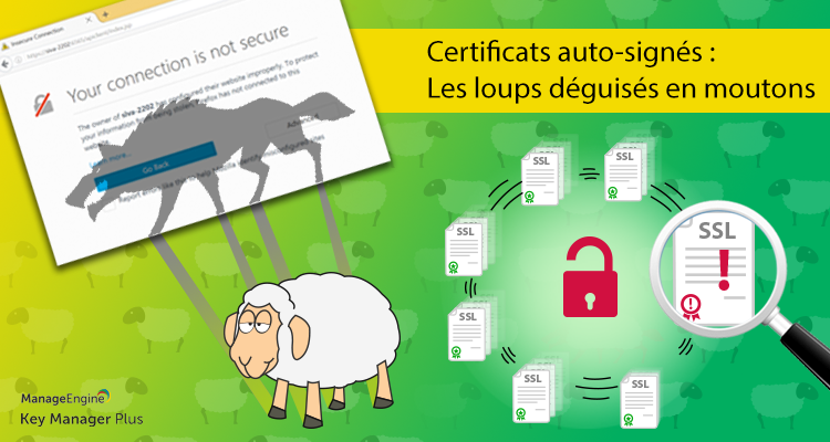 Les risques des certificats auto-signés : les loups peuvent-ils entrer dans la bergerie ?